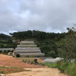 Bán đất 509m2 Xuân Trường Hóc Môn 1,6 tỷ - Ảnh thu nhỏ 1