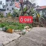 Bán đất nền 102m² Khu 10 Cái Lân, Hạ Long, giá 2 tỷ - Ảnh thu nhỏ 1