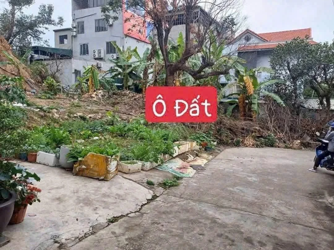 Bán đất nền 102m² Khu 10 Cái Lân, Hạ Long, giá 2 tỷ - Ảnh 1