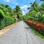 Bán nhà biệt thự sân vườn 365m2, 3PN 2WC, đầy đủ nội thất gần trường Cao Đẳng Bến Tre - Ảnh thu nhỏ 4