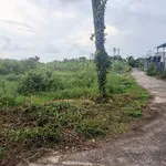 Bán đất sào Xuân Điền Hàm Hiệp, 500m², 1,5 tỷ - Ảnh thu nhỏ 3