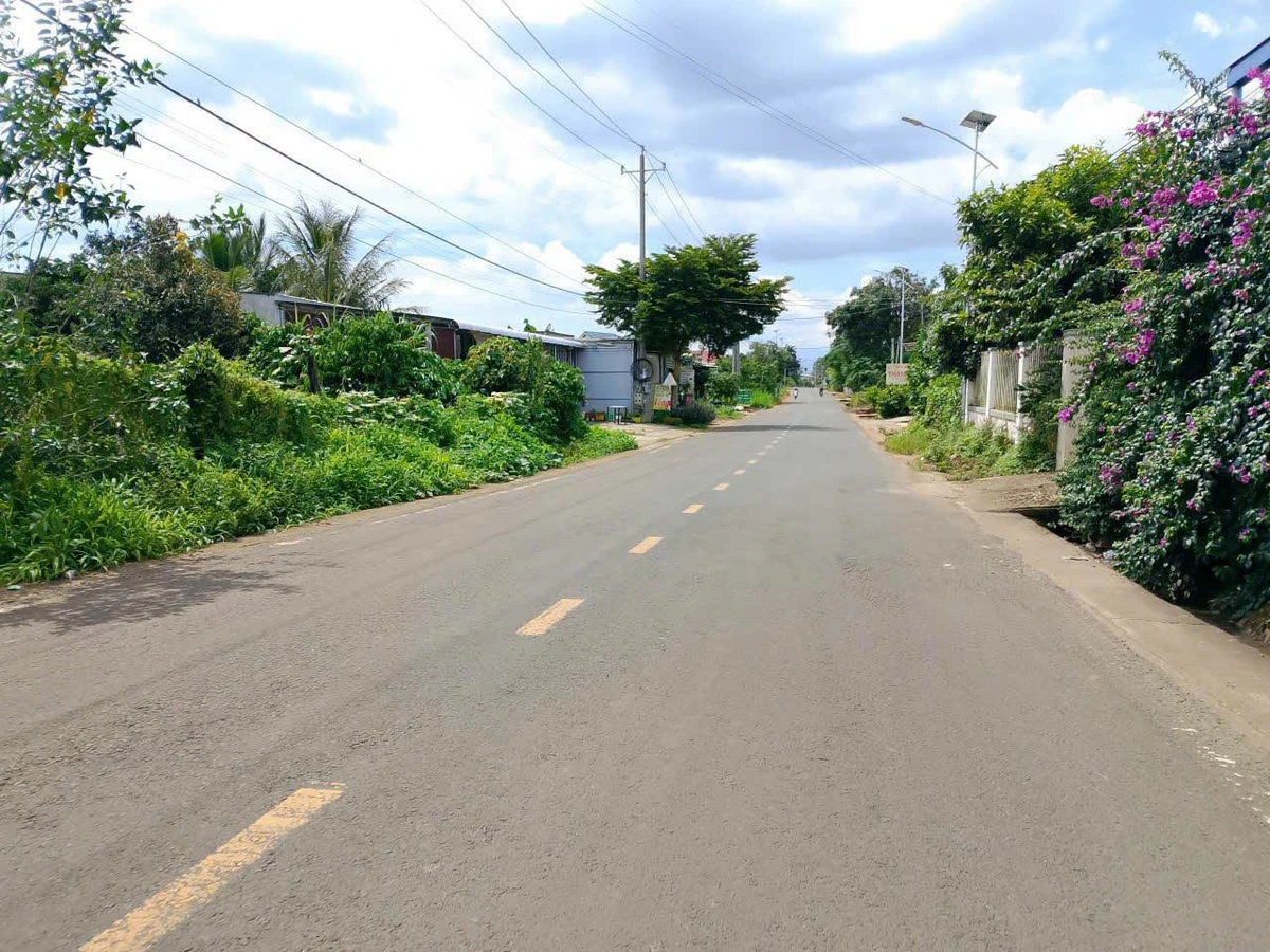 Bán đất mặt tiền DH1 5000m² Đức Trọng Lâm Đồng - Ảnh thu nhỏ 5