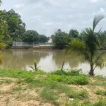 Bán đất view sông 9.600m² mặt tiền 150m Biên Hòa Dĩ An - Ảnh thu nhỏ 4