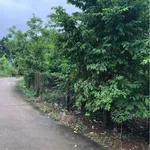 Bán đất vườn chôm chôm 1 sào gần sân bay Long Thành 1 tỷ 390 - Ảnh thu nhỏ 2