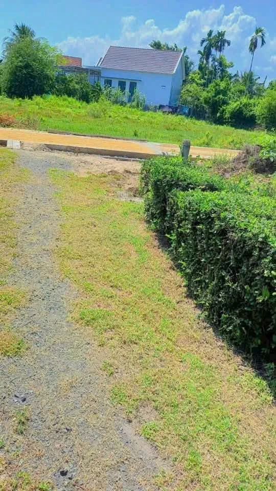Bán đất 3 mặt tiền Tân Hưng Ninh Hòa 302,5m² giá 850 triệu - Ảnh thu nhỏ 3