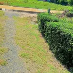 Bán đất 3 mặt tiền Tân Hưng Ninh Hòa 302,5m² giá 850 triệu - Ảnh thu nhỏ 3