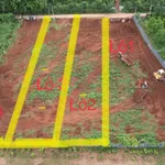 Bán đất Komleo Hòa Thắng 540m2 Hóc Môn - Ảnh thu nhỏ 3