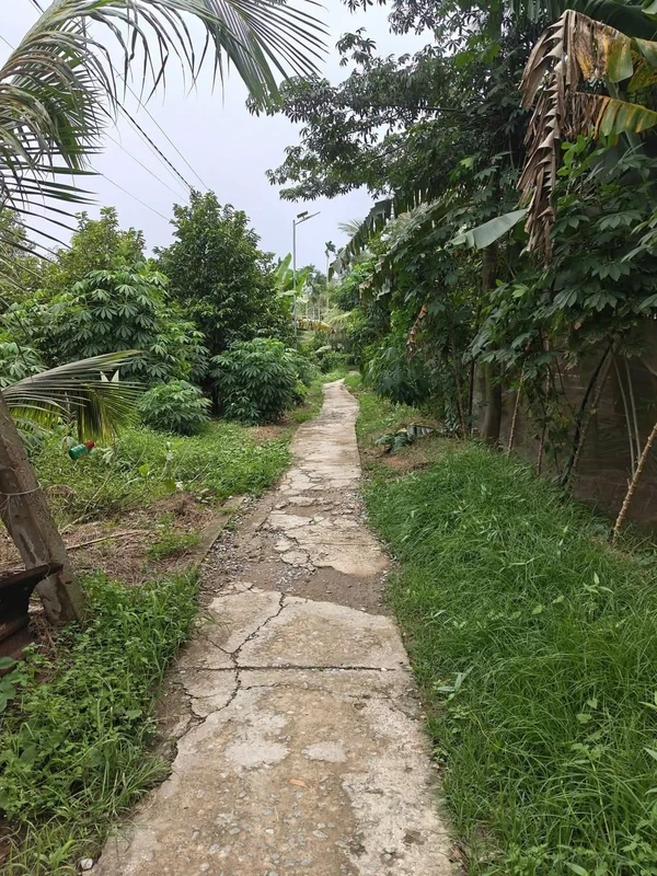Bán đất xã Phú Mỹ Bến Tre 2000m² giá 1,4 tỷ
