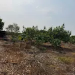 Bán đất mặt tiền Nguyễn Lương Bằng 1000 m², Tây Ninh - Ảnh thu nhỏ 2