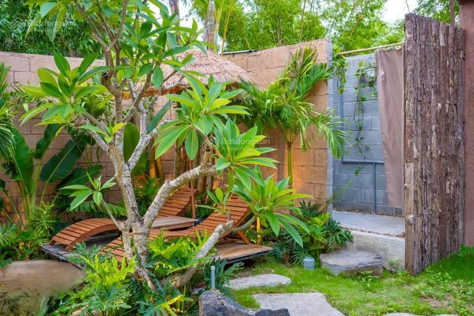Homestay nhà vườn xinh xắn không gian sống yên bình giữa đồng quê Tuy An - Ảnh thu nhỏ 3
