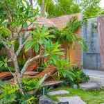 Homestay nhà vườn xinh xắn không gian sống yên bình giữa đồng quê Tuy An - Ảnh thu nhỏ 3