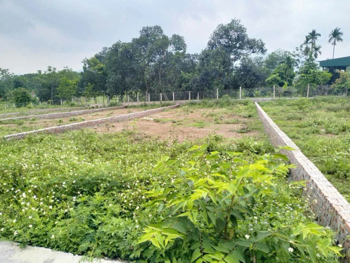 Bán đất nền 300m² view núi tại Hà Nội, 1,6 tỷ - Ảnh thu nhỏ 3