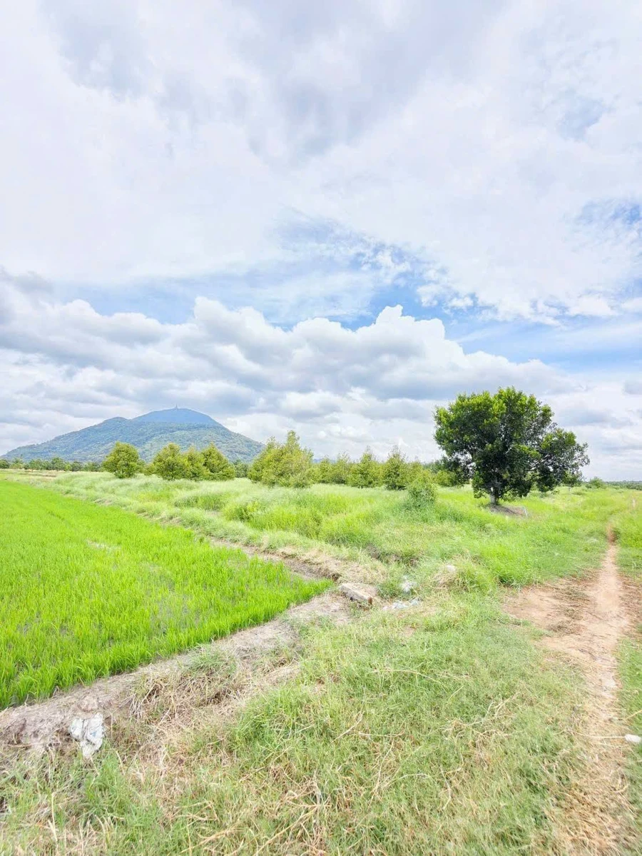 Bán đất thổ cư 160m² Bình Minh Tây Ninh 190 triệu - Ảnh thu nhỏ 3
