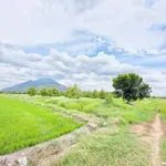 Bán đất thổ cư 160m² Bình Minh Tây Ninh 190 triệu - Ảnh thu nhỏ 3