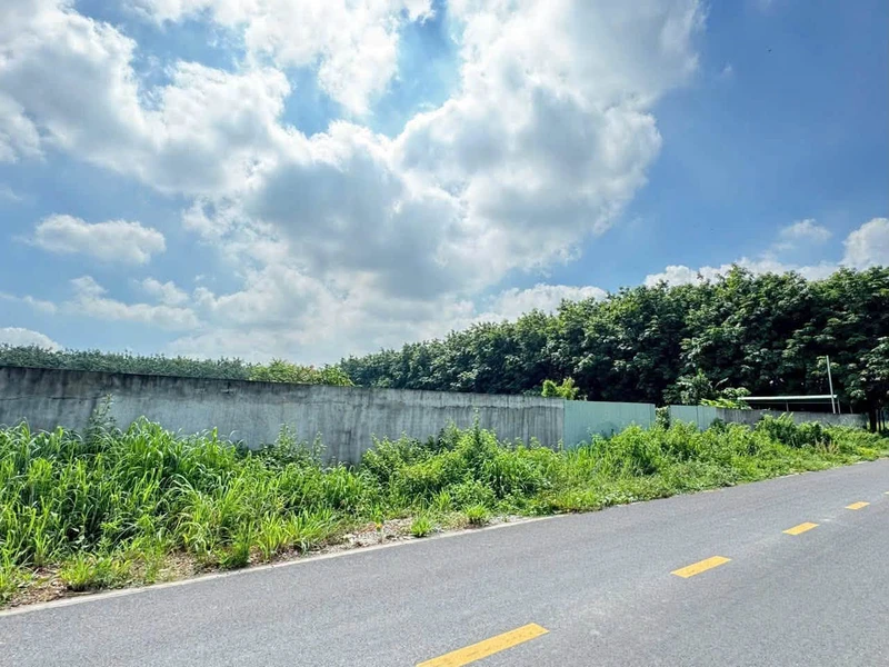 Bán đất mặt tiền Chánh Phú Hoà 3616m2 giá 9.04 tỷ
