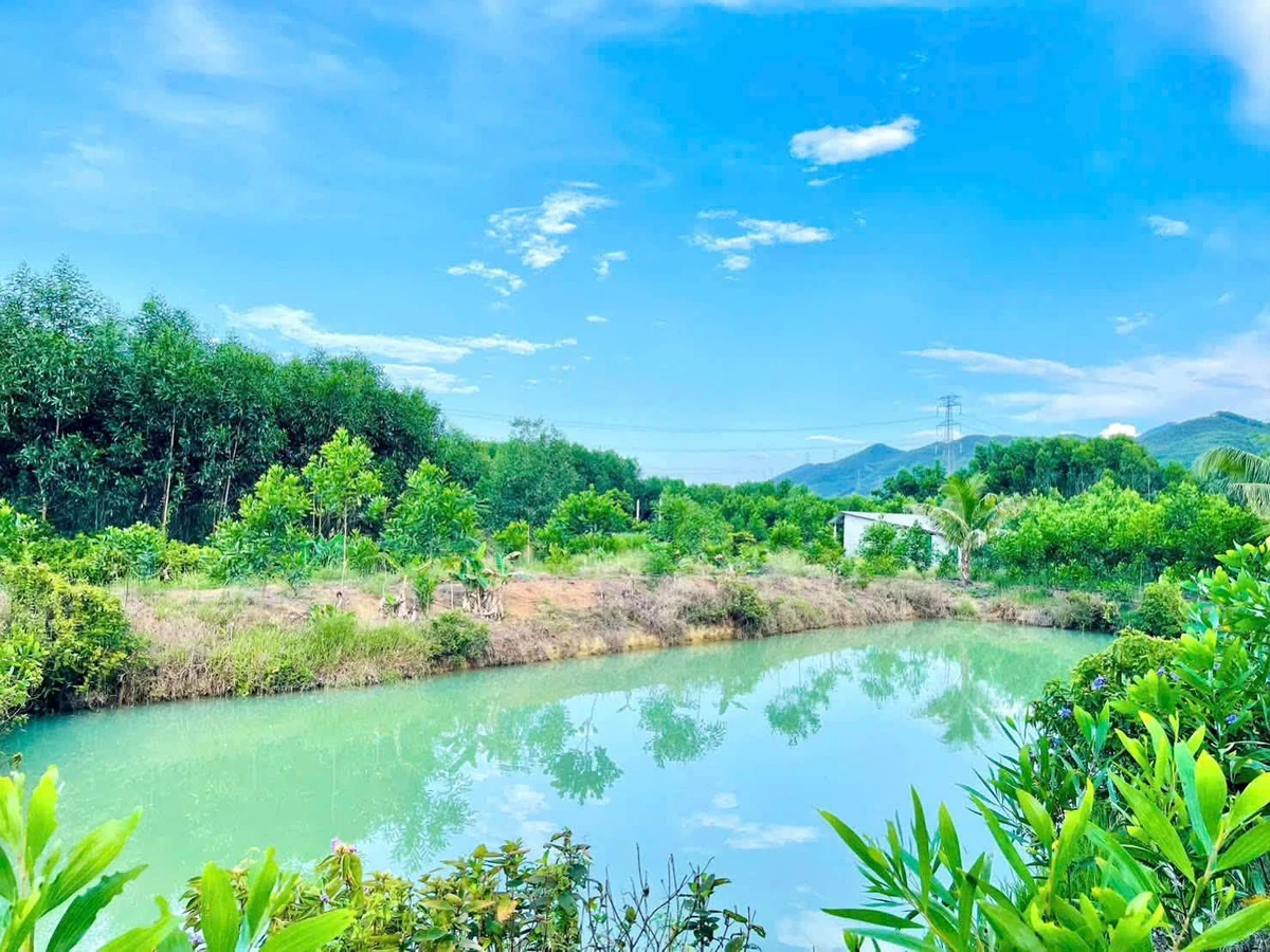 Bán đất trang trại 5500m2 Đông Thái gần chợ trường học - Ảnh thu nhỏ 3