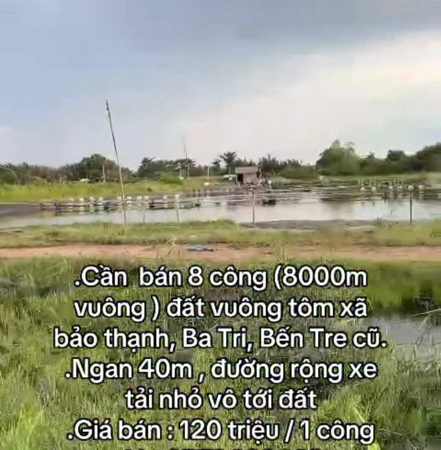 Bán 8000m² đất ao tôm tại Ba Tri, Bến Tre - Ảnh 1