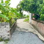 Bán lô đất Cầu Lâm Phạm Trấn Hải Dương 100m² 1 tỷ - Ảnh thu nhỏ 2