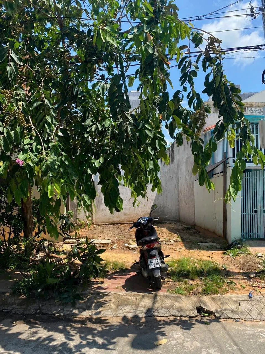 Bán lô đất 106m² mặt tiền Nguyễn Trọng Lội, Lâm Đồng - Ảnh 1