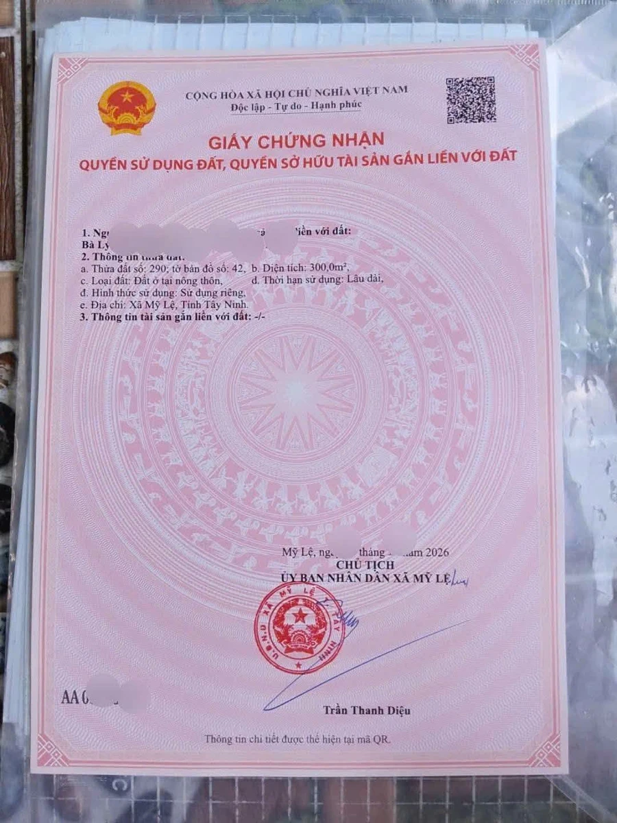 Bán 1000m² đất thổ cư Mỹ Lệ, Cần Dước 3,8 tỷ - Ảnh thu nhỏ 5