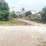 Bán 2 lô đất liền kề 81m² mặt 4,5m Miễu Lãng Nam Sách, 700 triệu - Ảnh thu nhỏ 2