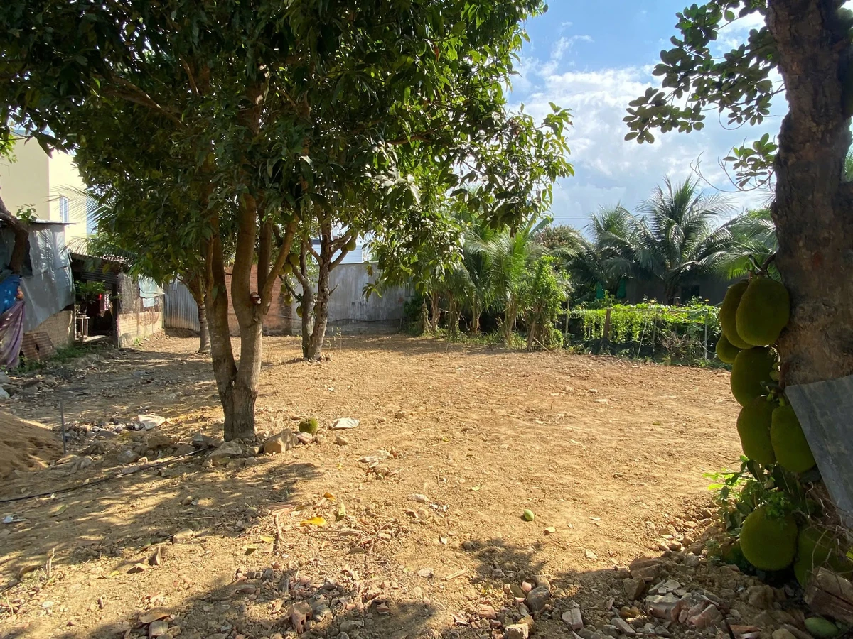 Bán đất làm nhà vườn 270,8m² ngang 9,47m giá 2,95 tỷ tại Diên Khánh, Khánh Hòa - Ảnh thu nhỏ 3