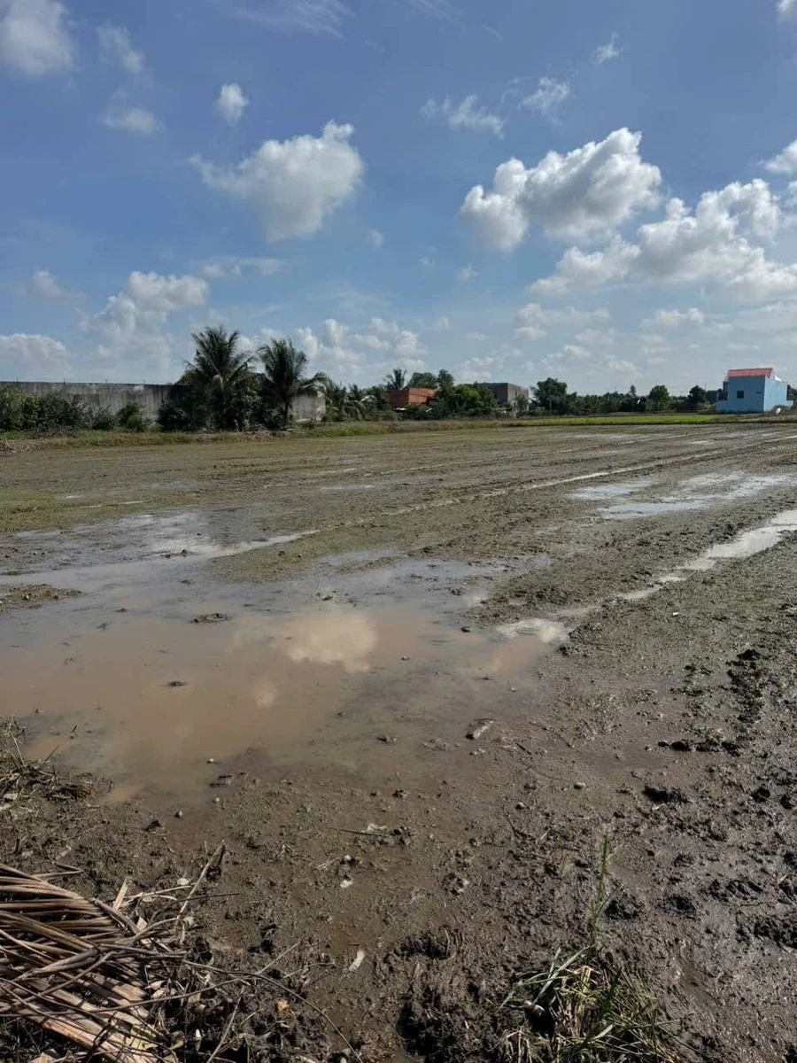 Bán 1000m² đất lúa mặt kênh Bến Lức Long An - Ảnh thu nhỏ 3