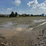 Bán 1000m² đất lúa mặt kênh Bến Lức Long An - Ảnh thu nhỏ 3