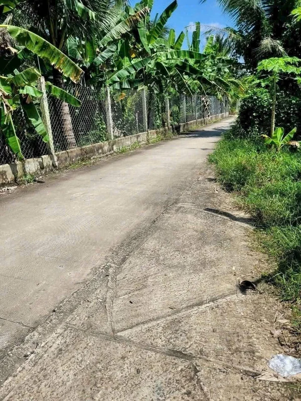 Bán đất mặt tiền hẻm 356m2 ngang 11m gần Cầu Hàm Luông, Bến Tre
