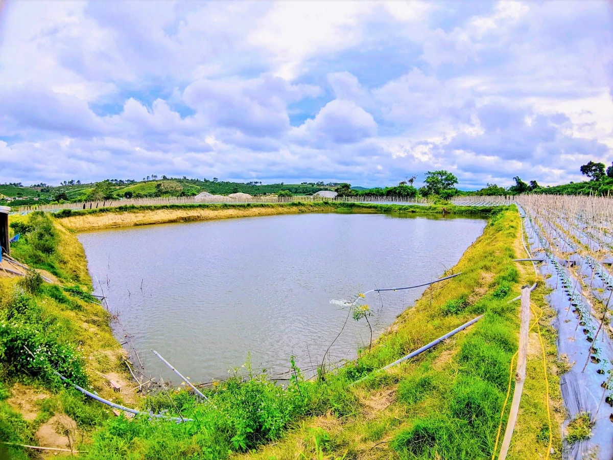 Bán đất 3,1 hectare thôn Phú Ao, Lâm Đồng - Ảnh thu nhỏ 4