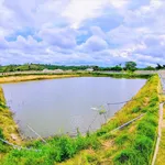 Bán đất 3,1 hectare thôn Phú Ao, Lâm Đồng - Ảnh thu nhỏ 4