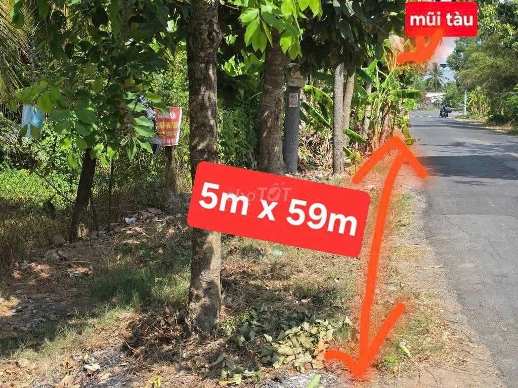 Bán đất nền 290m² mặt tiền Vành đai 173, 1.7 tỷ, Nhà Bè - Ảnh thu nhỏ 2