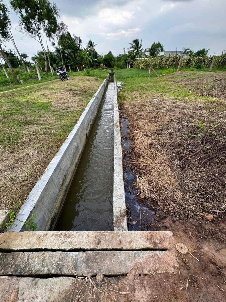 Bán 1000m2 đất ở Hàm Liêm, Bình Thuận, 550 triệu - Ảnh thu nhỏ 2