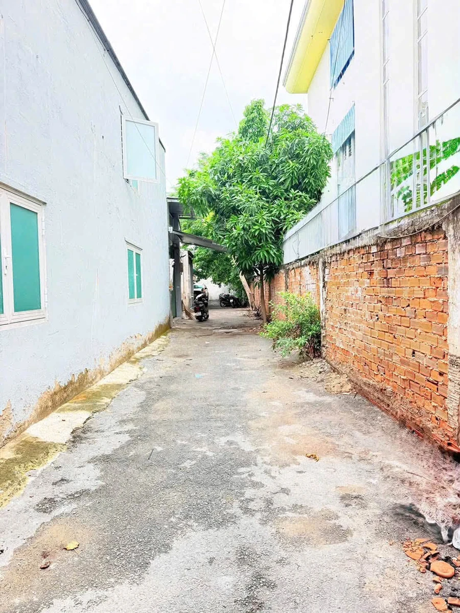 Bán đất hẻm xe hơi 58m2 đường Lạc Long Quân, Phường 11, Tân Bình giá 4,8 tỷ - Ảnh 1
