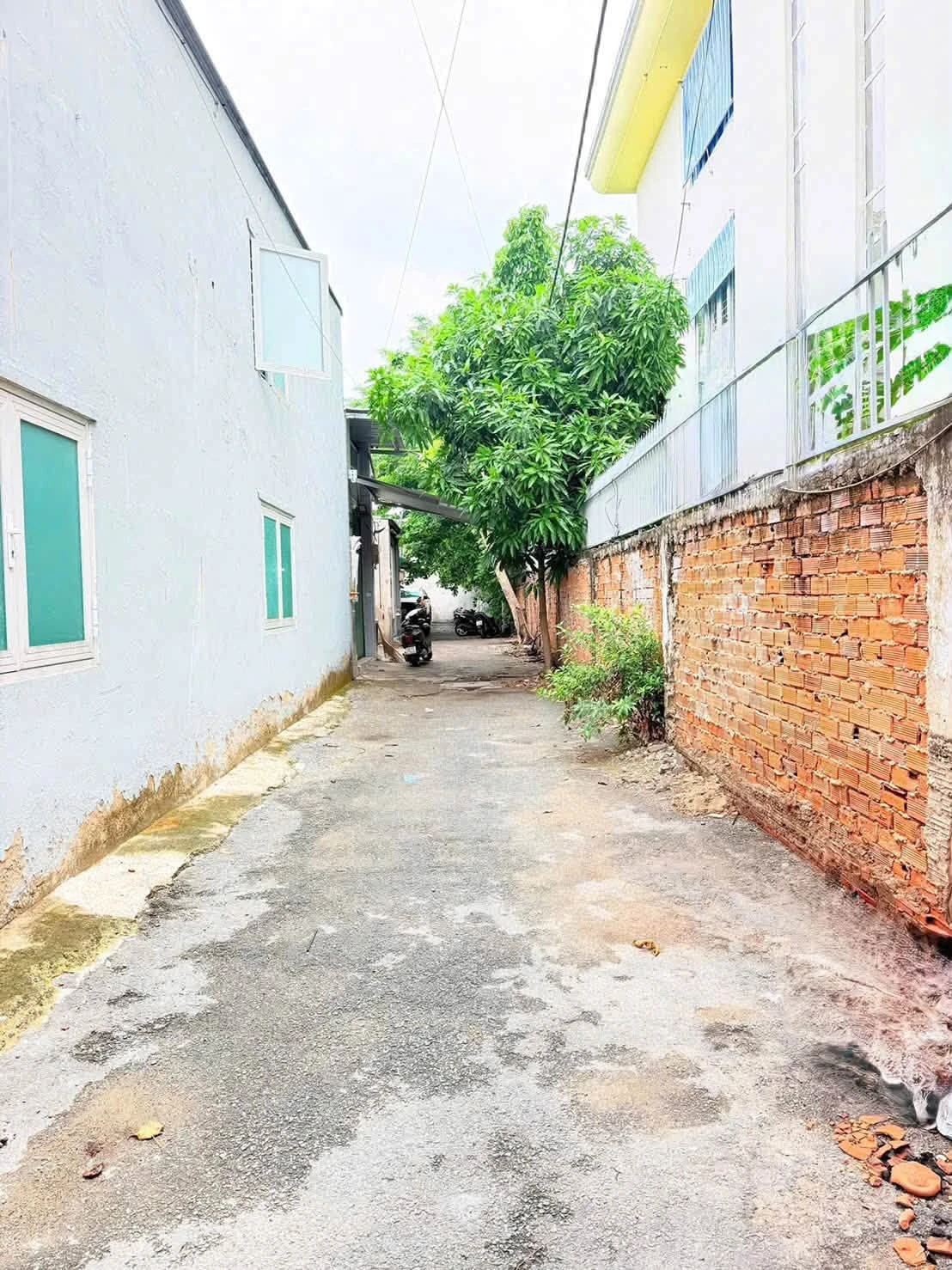Bán đất hẻm xe hơi 58m2 đường Lạc Long Quân, Phường 11, Tân Bình giá 4,8 tỷ - Ảnh 1