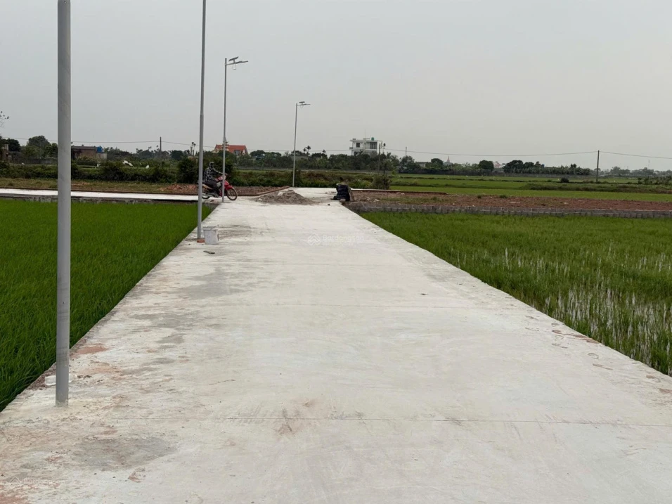 Bán gấp đất tại Xã Nam Thịnh, Huyện Tiền Hải, Thái Bình, 550 triệu, 120 m2 - Ảnh thu nhỏ 2