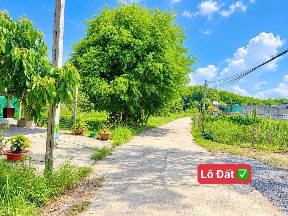 Bán lô đất 125m² Chơn Thành 380 triệu - Ảnh 1