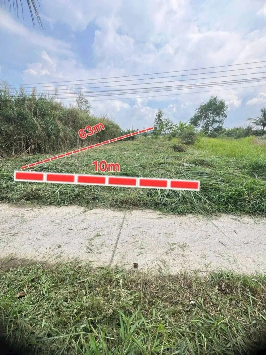 Bán đất làm nhà vườn 630m² Bình Chánh 850 triệu - Ảnh 1