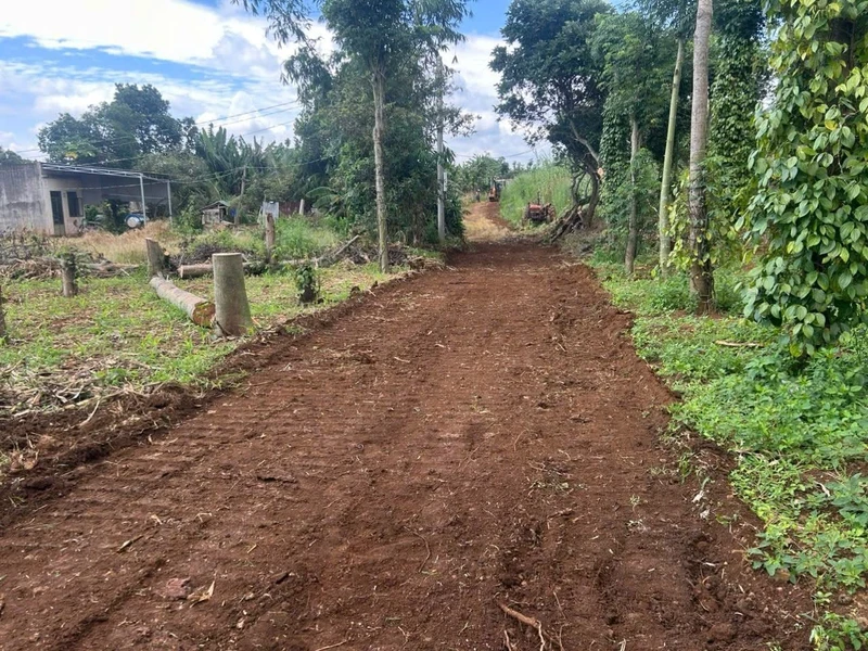 Bán lô đất nền 200m² sau bệnh viện Đắk Mil, 1 tỷ 150 triệu