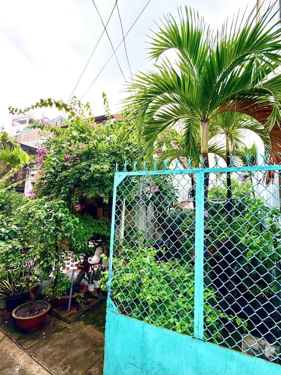 Bán nhà vườn cấp 4 219m² (10x22) hẻm Thống Nhất, P.16, Gò Vấp – 15,5 tỷ - Ảnh thu nhỏ 5
