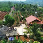 Bán đất 6.038m2 EaKao trồng cà phê sầu riêng - Ảnh thu nhỏ 1