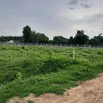 Bán lô đất 1000m² tại An Cơ, Châu Thành, Tây Ninh, giá 190 triệu - Ảnh thu nhỏ 2