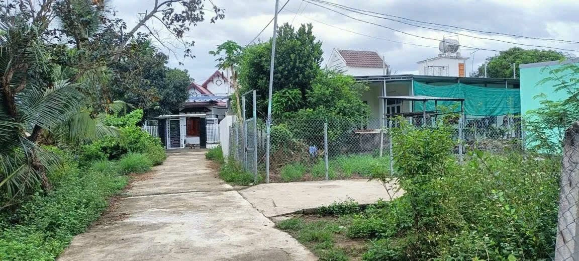 Bán đất Diên Lạc gần Lạc Bình 379m² 749 triệu Bình Chánh - Ảnh thu nhỏ 4