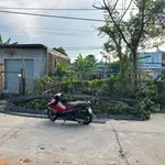 Bán đất mặt tiền Nguyễn Như Chương Huế 153,7m2 giá 2.8 tỷ - Ảnh thu nhỏ 1