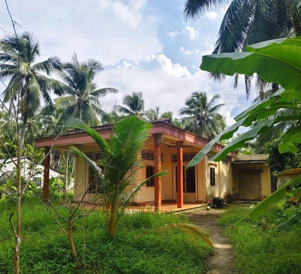 Bán đất 3.860m² gần chợ An Thới, Cần Giờ, giá 2,7 tỷ - Ảnh thu nhỏ 3