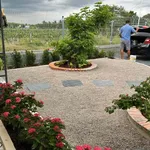 Bán nhà vườn 450m² 2 PN Tây Ninh 2 tỷ 290 triệu - Ảnh thu nhỏ 3