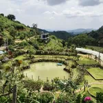 Bán đất sinh thái Đông Anh Nam Ban Lâm Đồng 13000m² 16 tỷ - Ảnh thu nhỏ 4