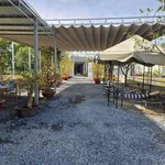 Bán đất mặt tiền đường 3/2 10x100 1000m2 (300m2 thổ cư) gần trường cấp 2 Hậu Nghĩa - Ảnh thu nhỏ 2