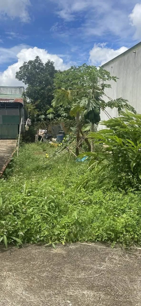 Bán đất nông nghiệp hẻm 162 Nguyễn Thị Định, 165m², 290 triệu - Ảnh thu nhỏ 2