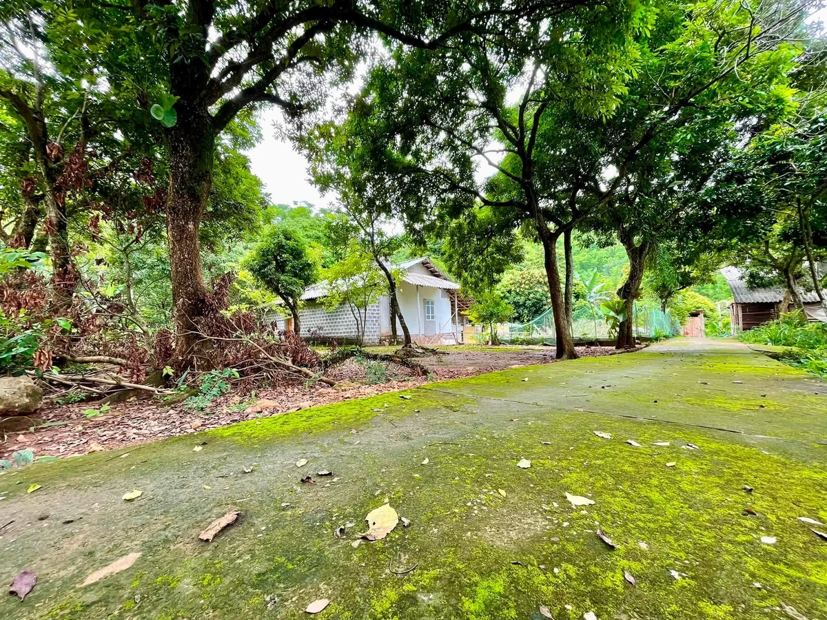 Bán đất 1.400m2 tại khu du lịch Nà Phòn Mai Châu, giá 1 triệu/m2 - Ảnh 1